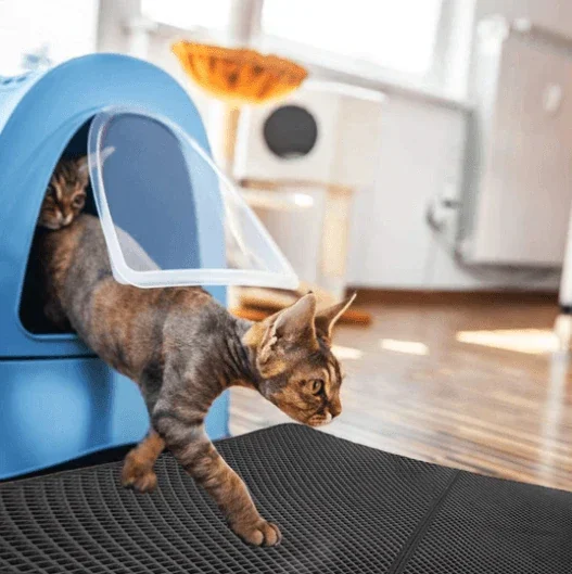 Non-Slip Cat Litter Mat-BUY 3 GET 1 FREE（Free Shipping)
