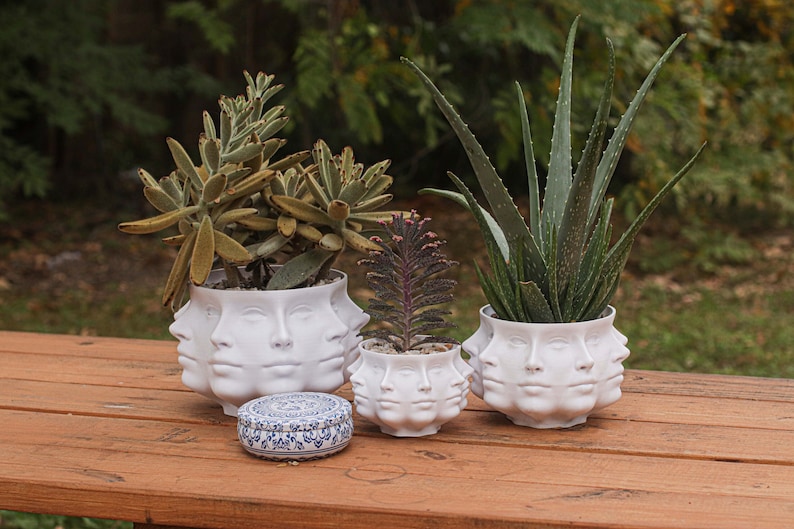 Polyface Planter