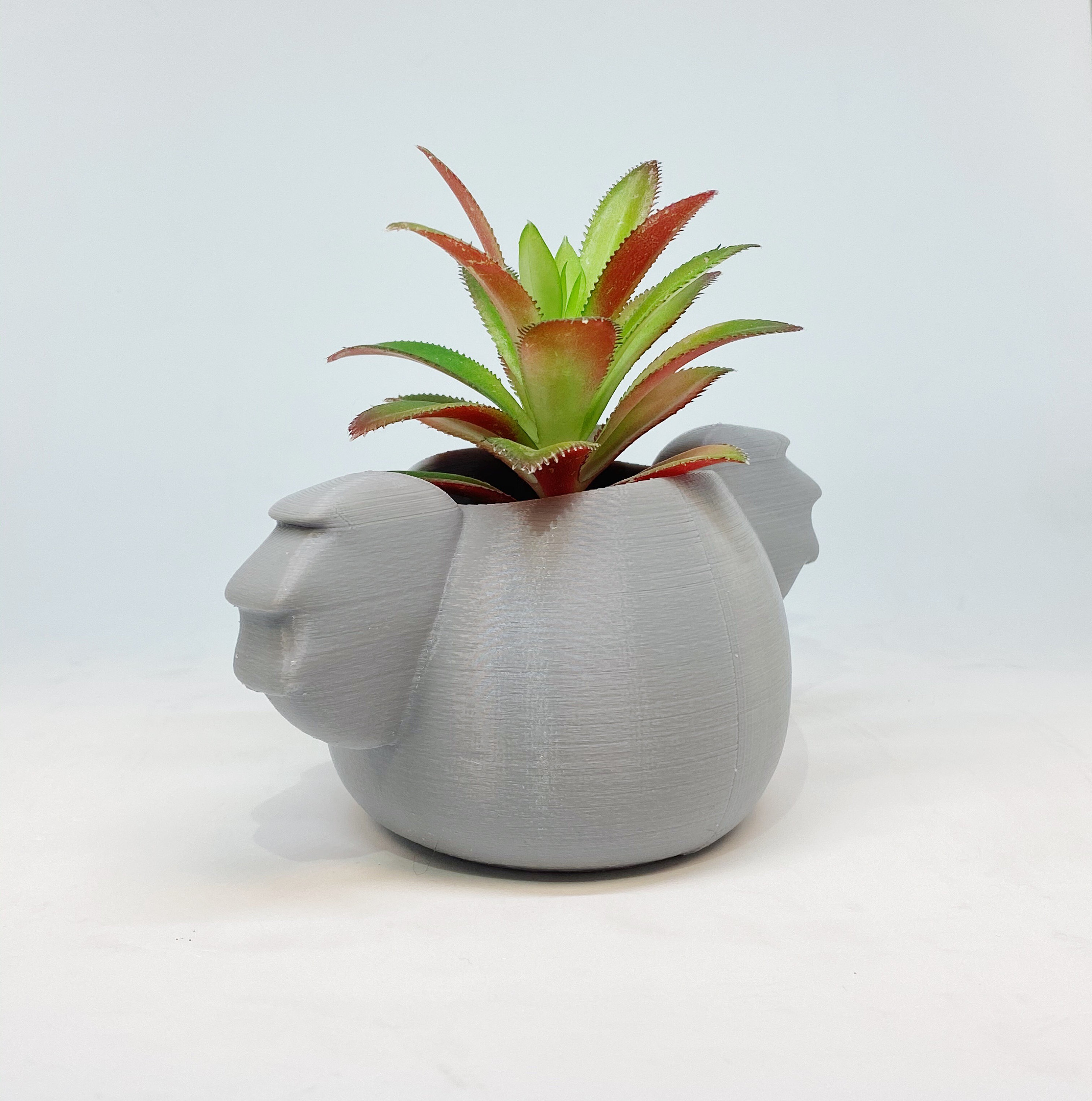 Animal planets for Office decor,gifts