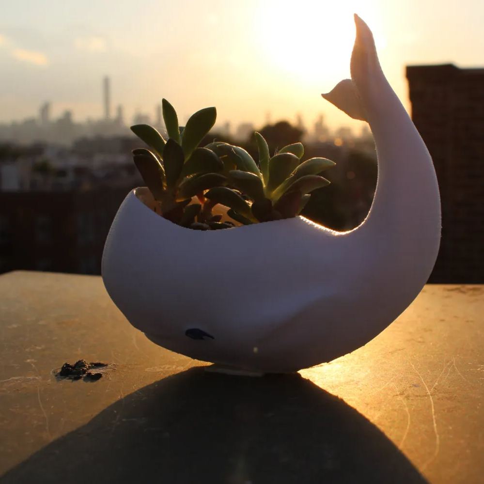 Animal planets for Office decor,gifts