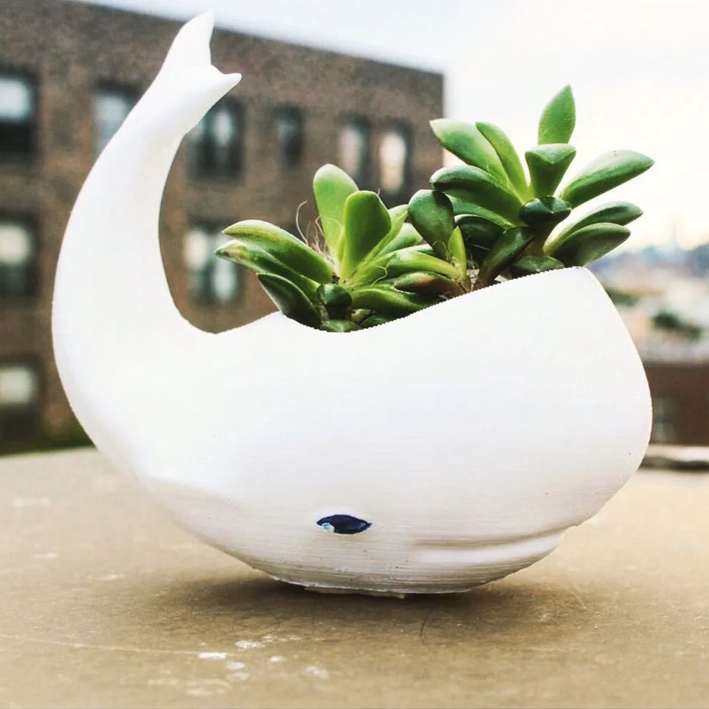 Animal planets for Office decor,gifts