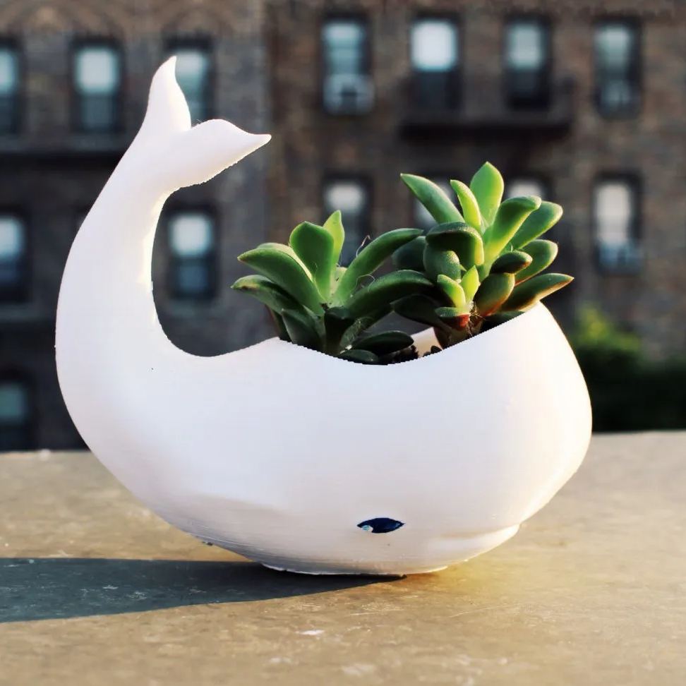 Animal planets for Office decor,gifts