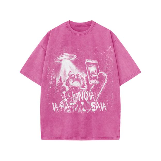 Vintage UFO Cat  I Know What I Saw Graphic Washed T-Shirt - Pink - US20-22(3XL) - image 6