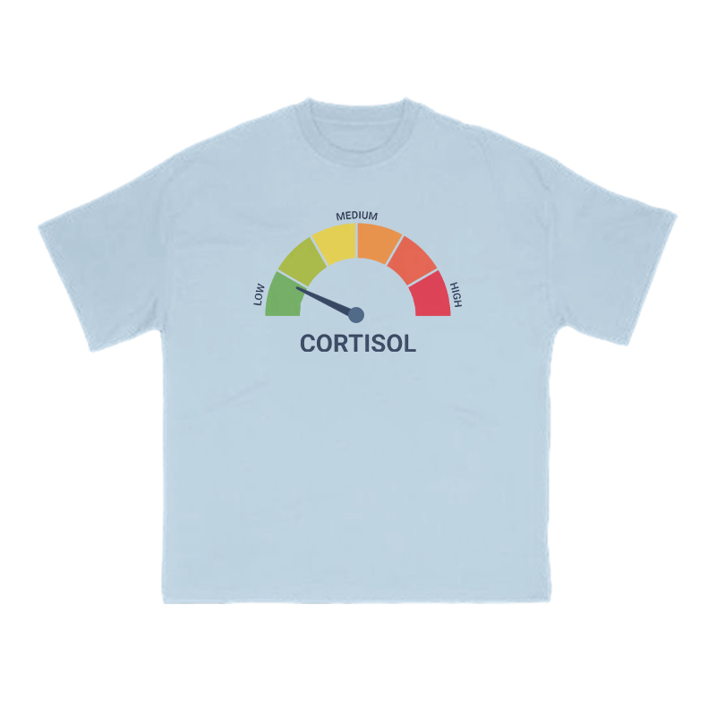 Cortisol Dashboard Low Print T-shirt - Light Blue - US16-18(2XL) - image 13