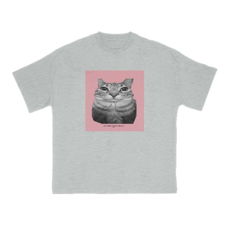 All Songs Written Produced And Arranged By Cat Print T-shirt - Grey - US16-18(2XL) - image 3