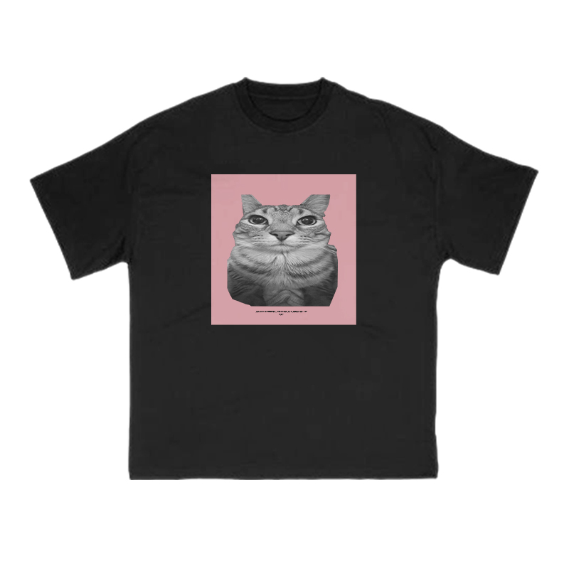 All Songs Written Produced And Arranged By Cat Print T-shirt - Black - US16-18(2XL) - image 2