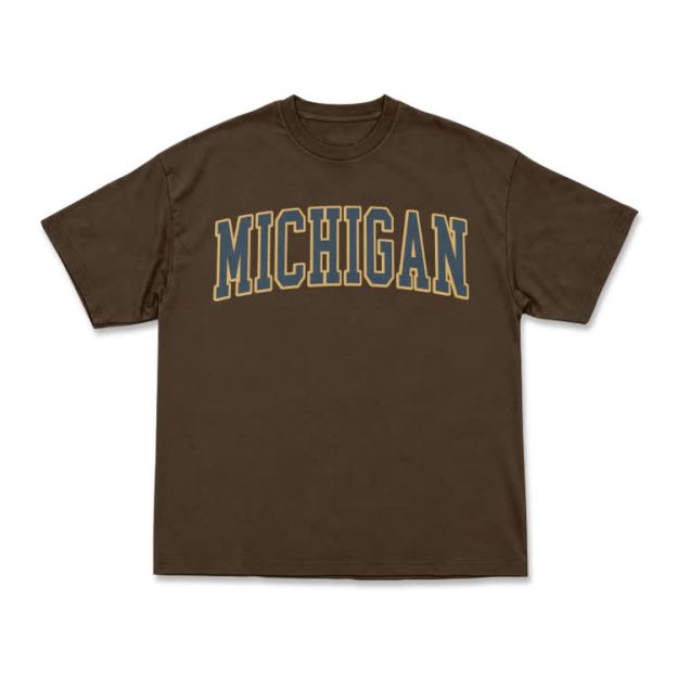 Classic Michigan Varsity Graphic T-Shirt - Coffee - US16-18(2XL) - image 10