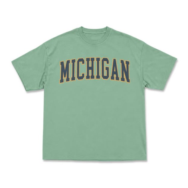 Classic Michigan Varsity Graphic T-Shirt - Light Green - US16-18(2XL) - image 12