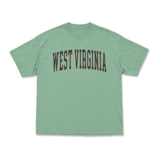 Classic West Virginia Varsity Graphic T-Shirt - Light Green - US16-18(2XL) - image 14