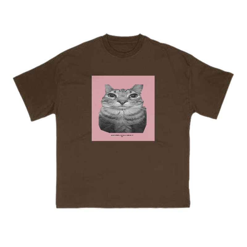 All Songs Written Produced And Arranged By Cat Print T-shirt - Coffee - US16-18(2XL) - image 6