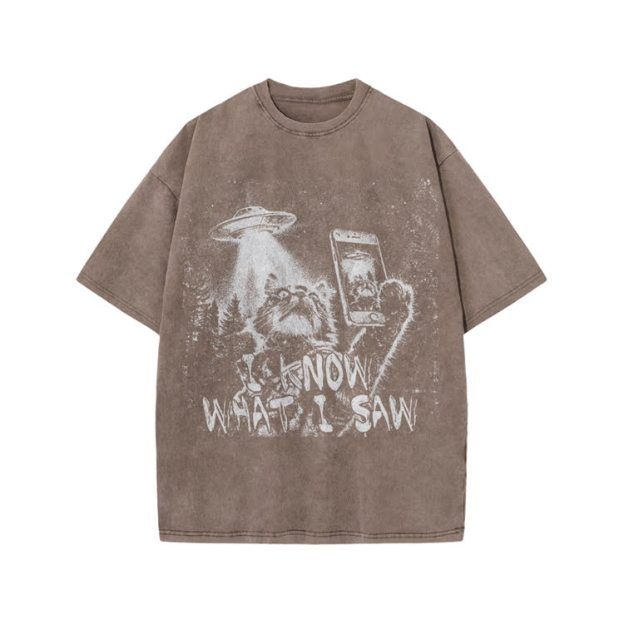 Vintage UFO Cat  I Know What I Saw Graphic Washed T-Shirt - Coffee - US20-22(3XL) - image 3