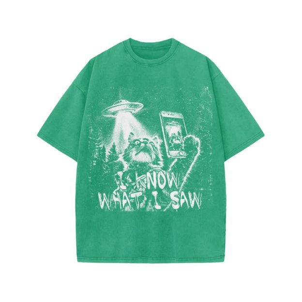 Vintage UFO Cat  I Know What I Saw Graphic Washed T-Shirt - Green - US20-22(3XL) - image 5
