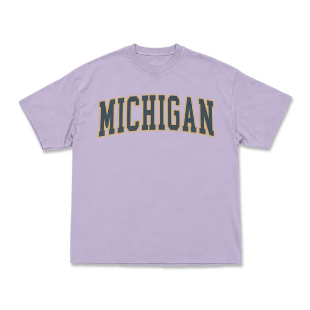 Classic Michigan Varsity Graphic T-Shirt - Purple - US16-18(2XL) - image 8
