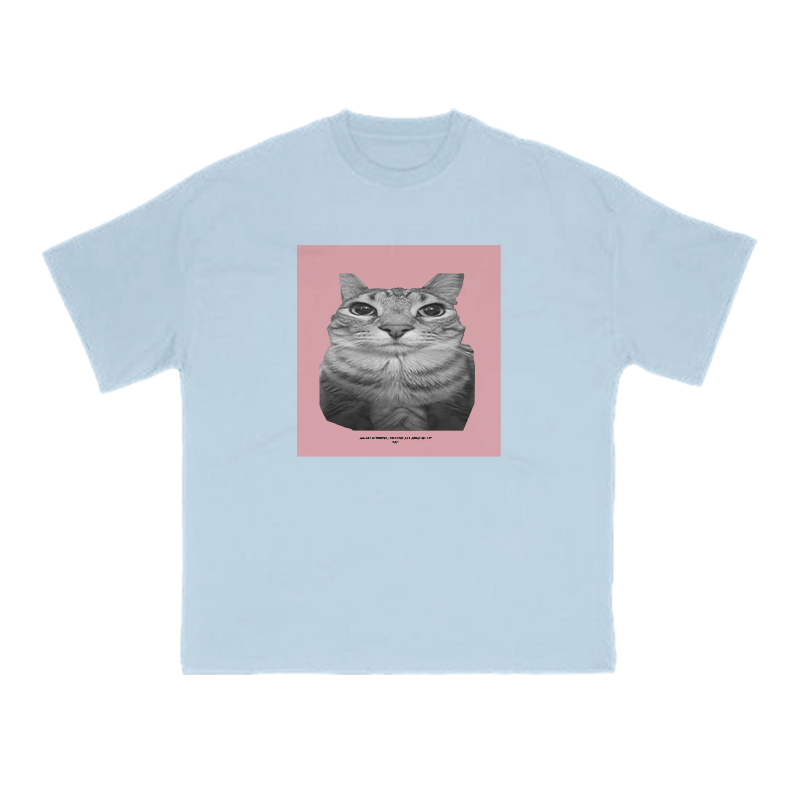 All Songs Written Produced And Arranged By Cat Print T-shirt - Light Blue - US16-18(2XL) - image 9