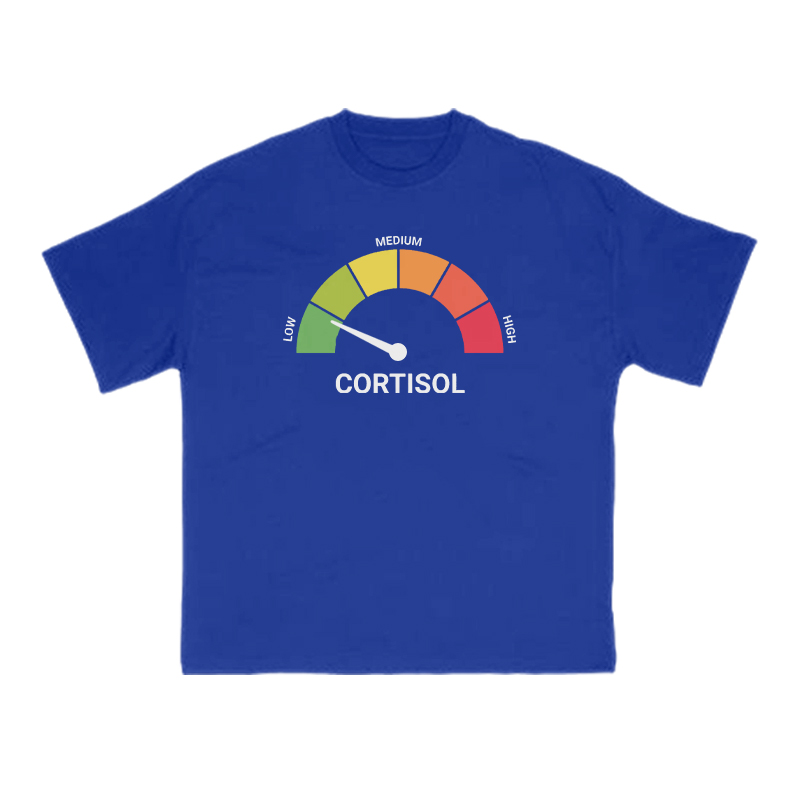 Cortisol Dashboard Low Print T-shirt - Blue - US16-18(2XL) - image 9