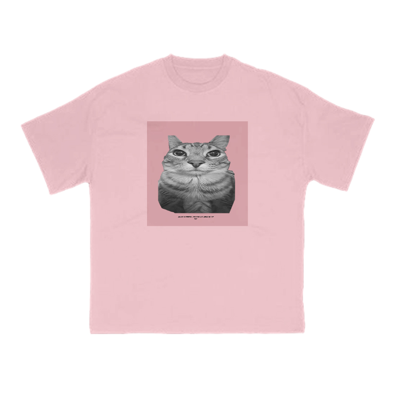 All Songs Written Produced And Arranged By Cat Print T-shirt - Pink - US16-18(2XL) - image 7