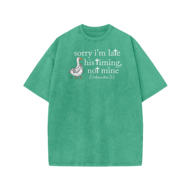 Unisex Sorry I'm Late, His Timing, Not Mine Ecclesiastes 3:1 Print Acid Washed T-shirt - Green - US20-22(3XL) - image 7