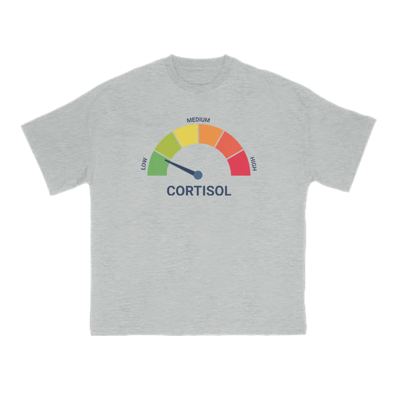 Cortisol Dashboard Low Print T-shirt - Grey - US16-18(2XL) - image 3