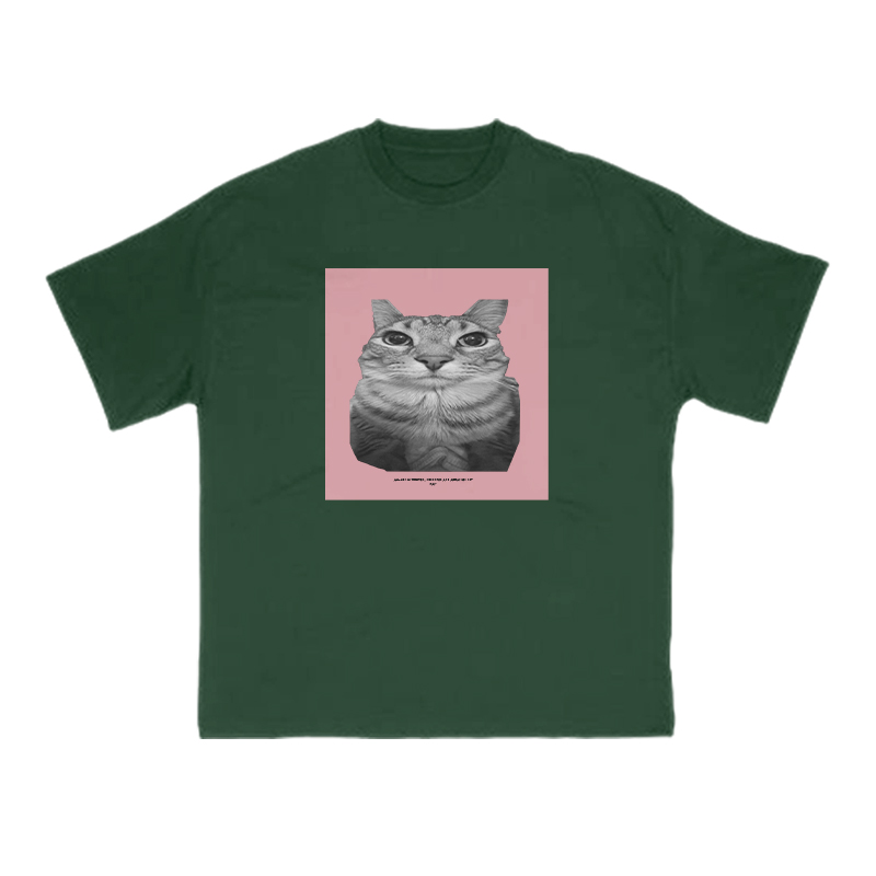 All Songs Written Produced And Arranged By Cat Print T-shirt - Green - US16-18(2XL) - image 12