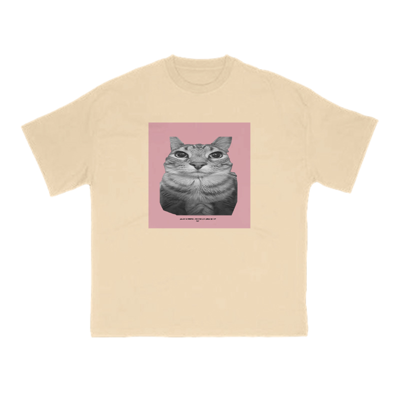 All Songs Written Produced And Arranged By Cat Print T-shirt - Apricot - US16-18(2XL) - image 5