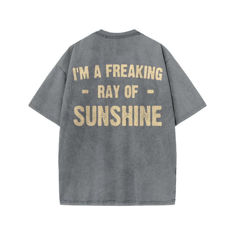 Gym 100% Cotton SUNSHINE Print Acid Washed T-shirt - Grey - US20-22(3XL) - image 4