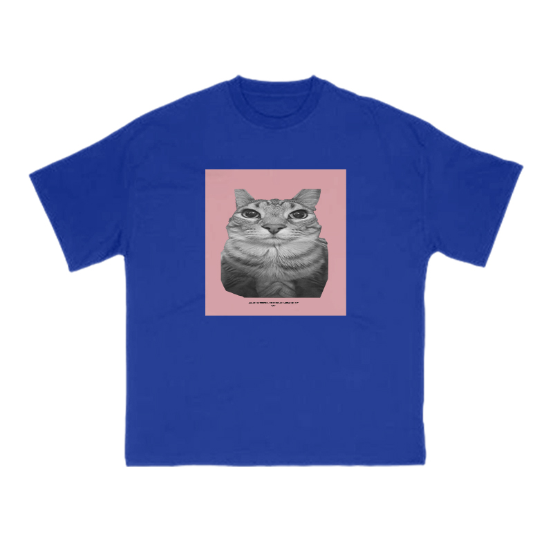 All Songs Written Produced And Arranged By Cat Print T-shirt - Blue - US16-18(2XL) - image 11