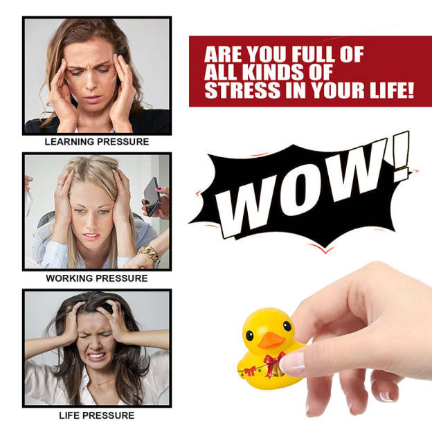 Christmas Gift Advent Calendar 2022 - 24 Rubber Ducks for Kids-Engravingift