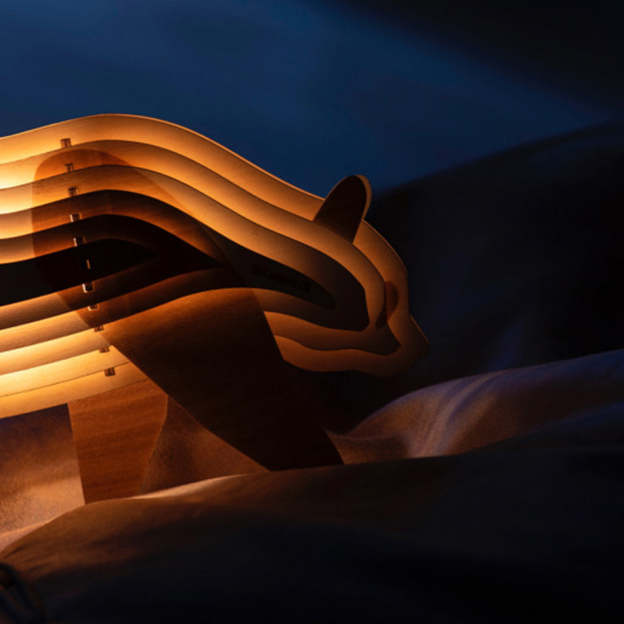 Christmas Gift 3D Wooden Animal Statue Decor Fantasy Lamp-Engravingift