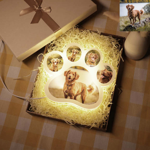 Mother's Day Gift Dog Paw Night Light Personalized 5 Photos 3D Lamp for Family-Engravingift