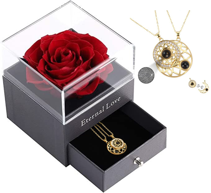 Valentine's Day Gift SHIPS 24-HOURS Magnetic Couple Diamond "I Love You" in 100 Languages-2 Necklaces set