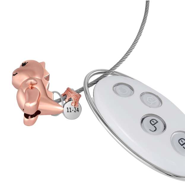 Mother's Day Gift  Magnetic Kissing Dinosaur Funny Keychain Personalized Matching Couple Key Ring Creative Gift-Engravingift