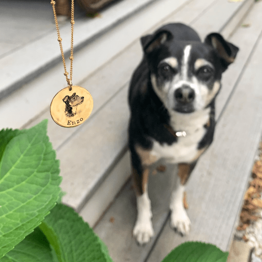 Personalized Actual Pet Portrait Necklace