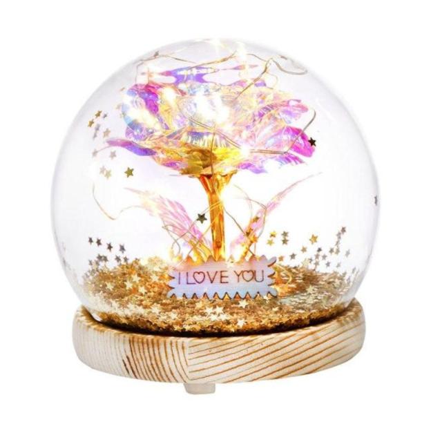 Christmas Gift Galaxy Crystal Ball Enchanted Red Rose LED Glass Display (Gold or Silver Stars)