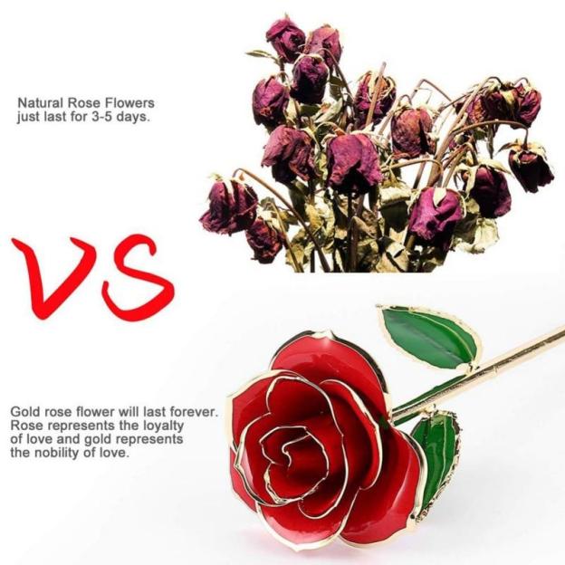 Christmas Gift Preserved 24k Gold Long Stem Immortal Rose (4 colors)