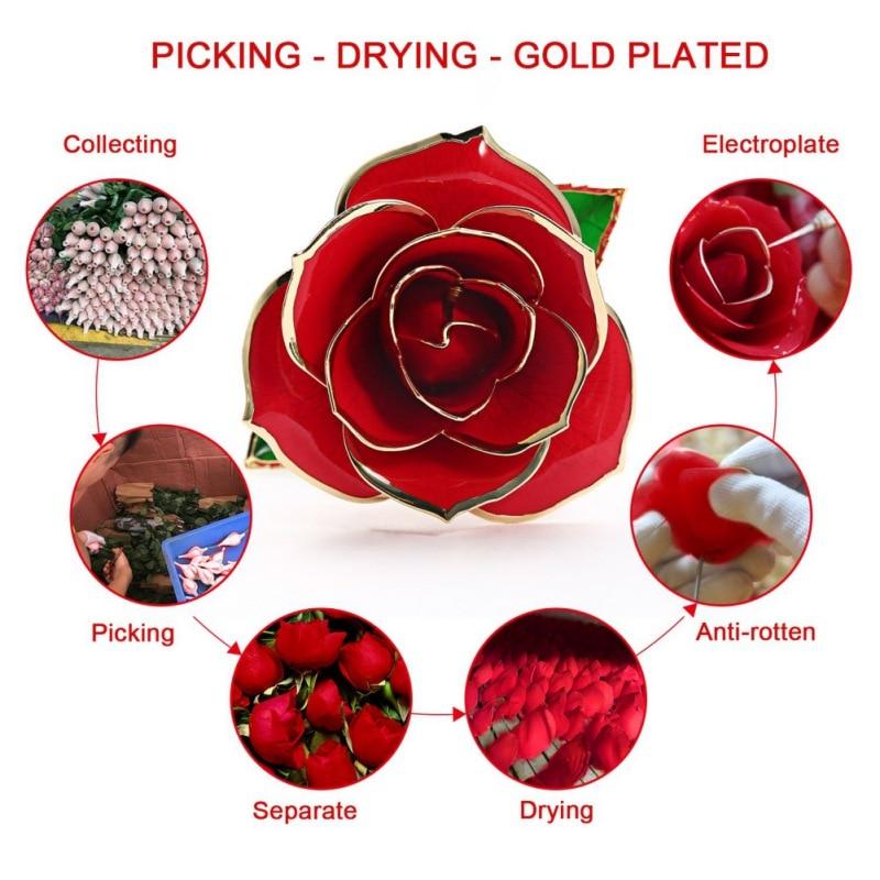 Christmas Gift Preserved 24k Gold Long Stem Immortal Rose (4 colors)