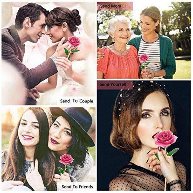 Christmas Gift Preserved 24k Gold Long Stem Immortal Rose (4 colors)