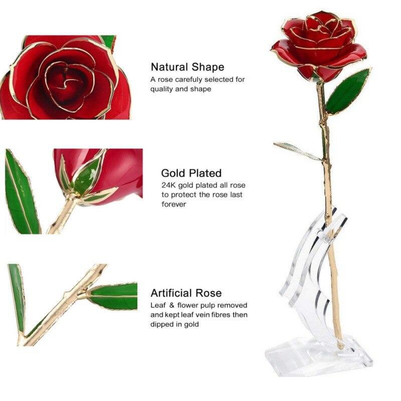 Christmas Gift Preserved 24k Gold Long Stem Immortal Rose (4 colors)
