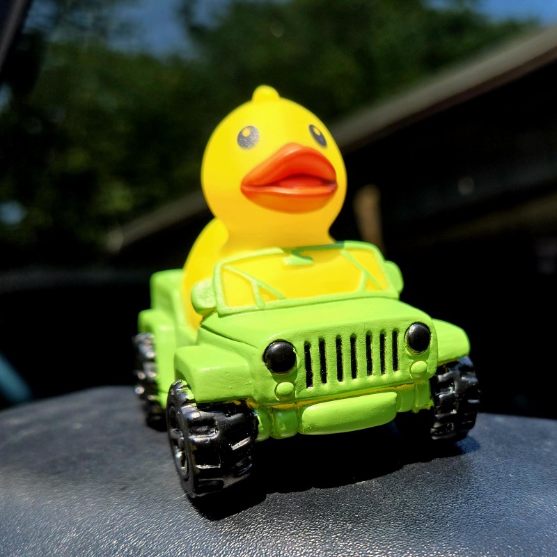 🦆Rubber Duck Driver