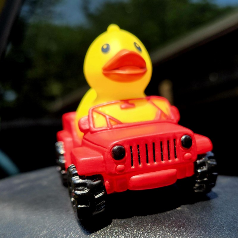 🦆Rubber Duck Driver