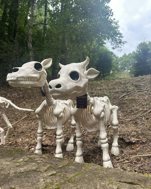 🐮Cow & Horse Skeleton Halloween Decorative Prop💀