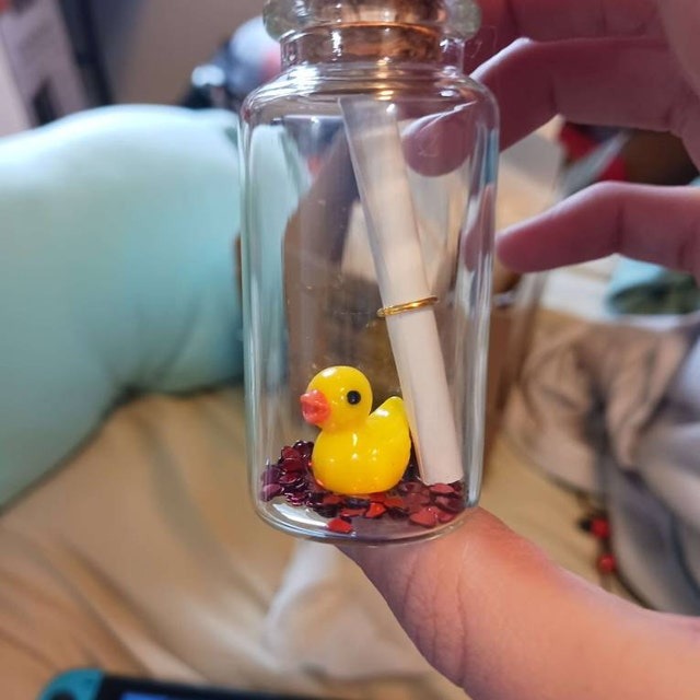 Cute Animals Message in a Bottle