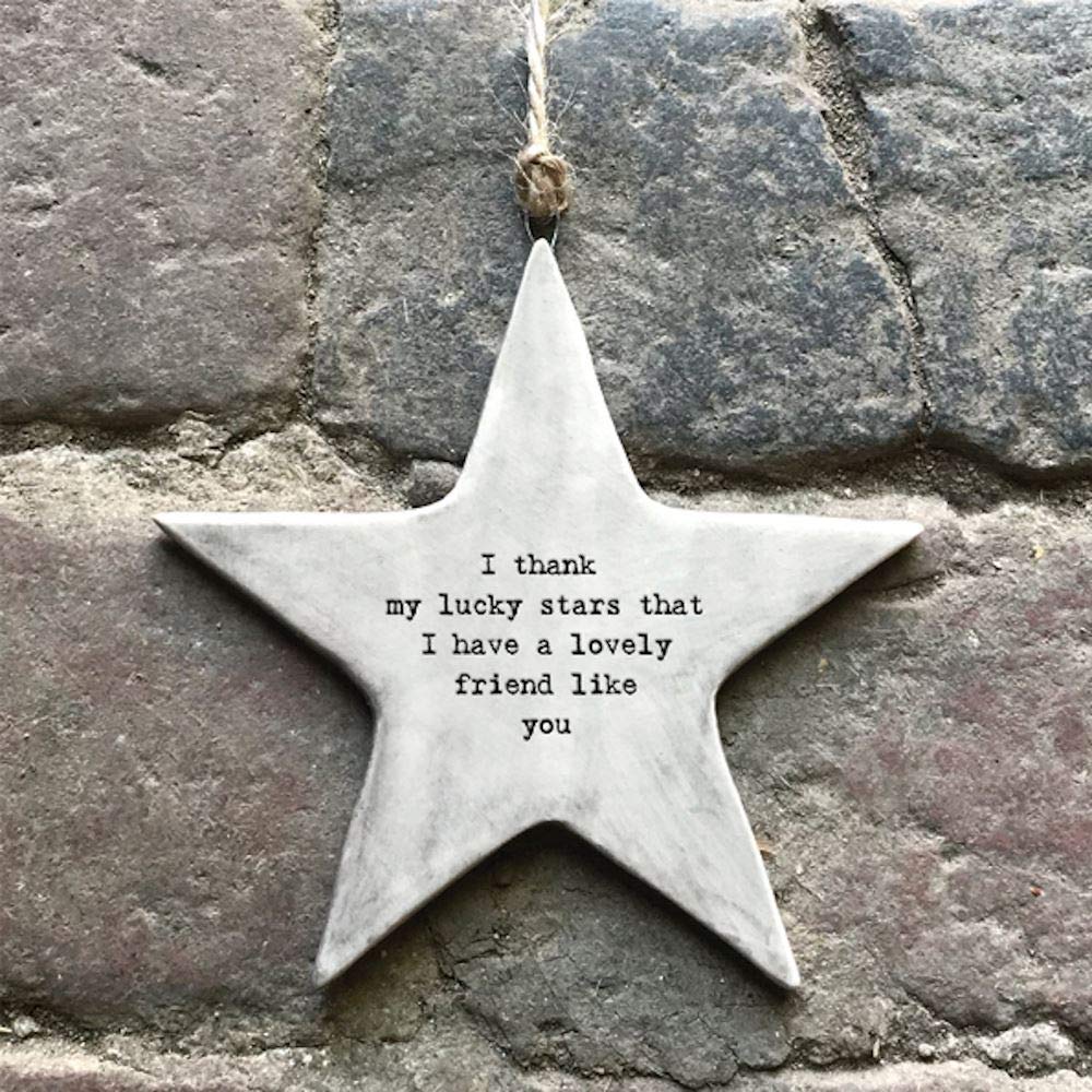 ⭐Emotional Support Rustic Hanging Star Ornament🎁