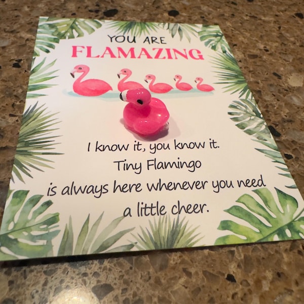 Mini Flamingo Pocket Hug!