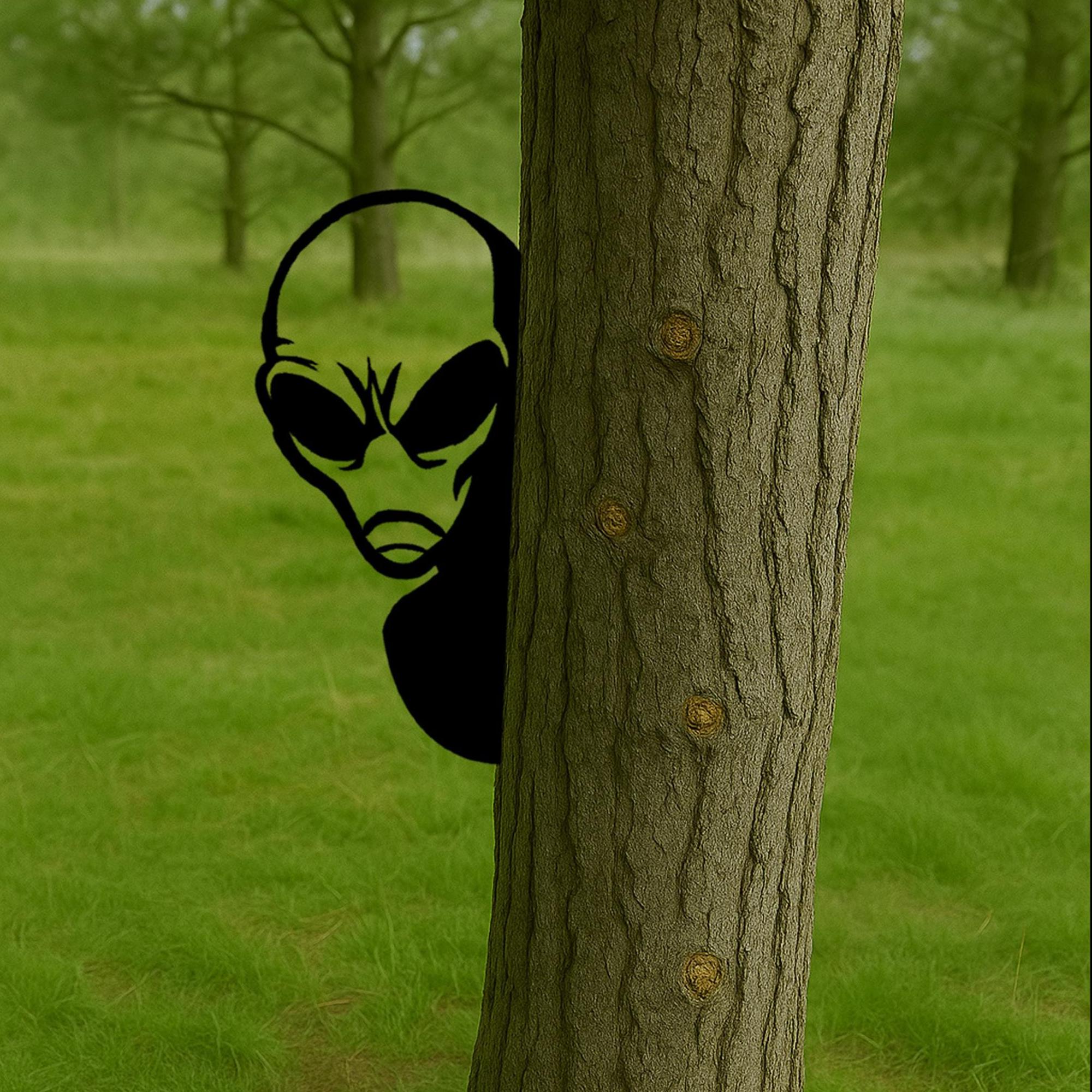 👽Funny Peek-a-Boo Alien Metal Sign
