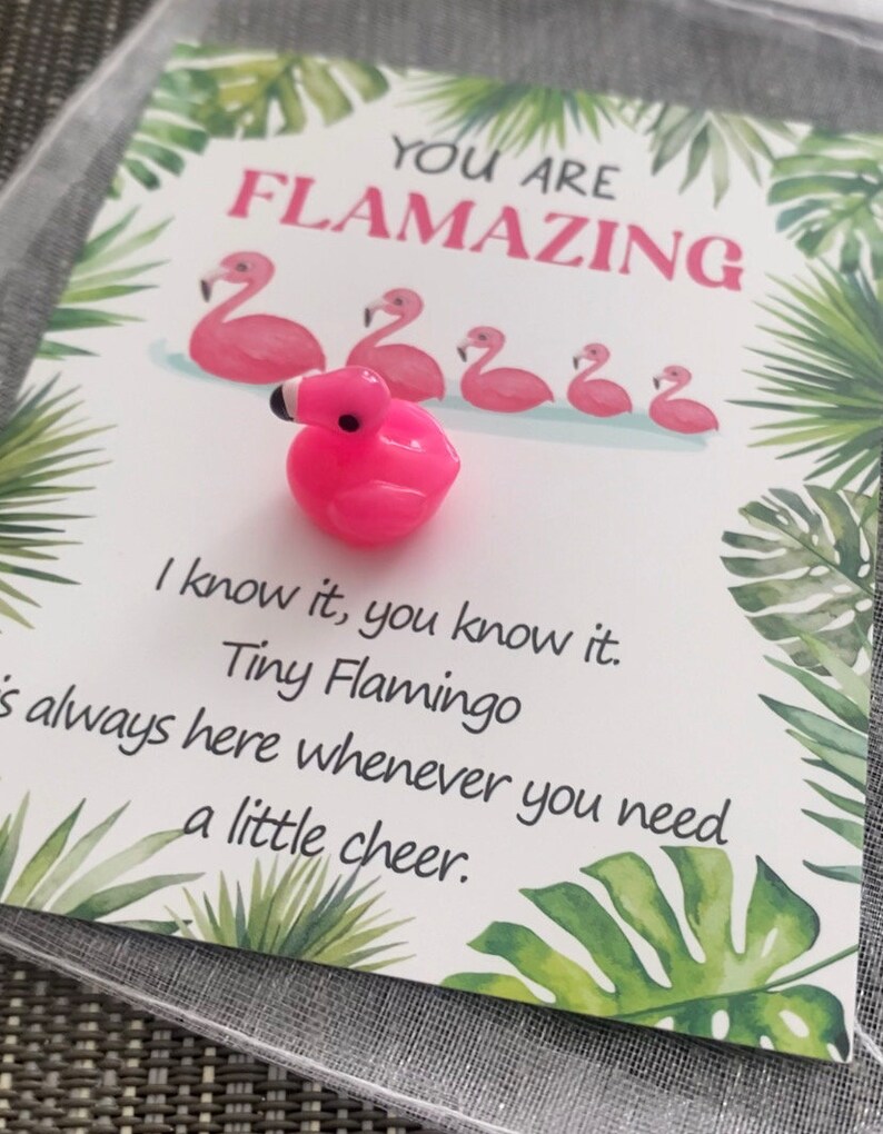 Mini Flamingo Pocket Hug!