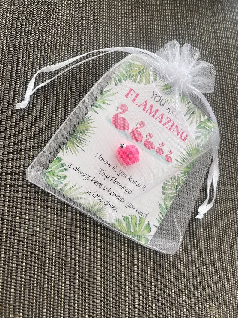 Mini Flamingo Pocket Hug!