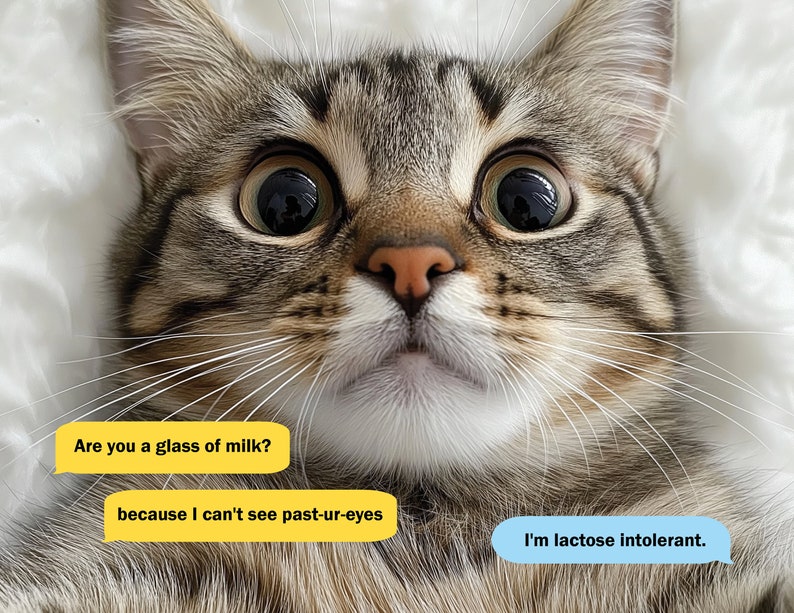 😻Cat Dating Calendar 2025