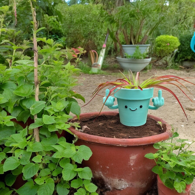 Funny & Unique Middle Finger Plant Pot
