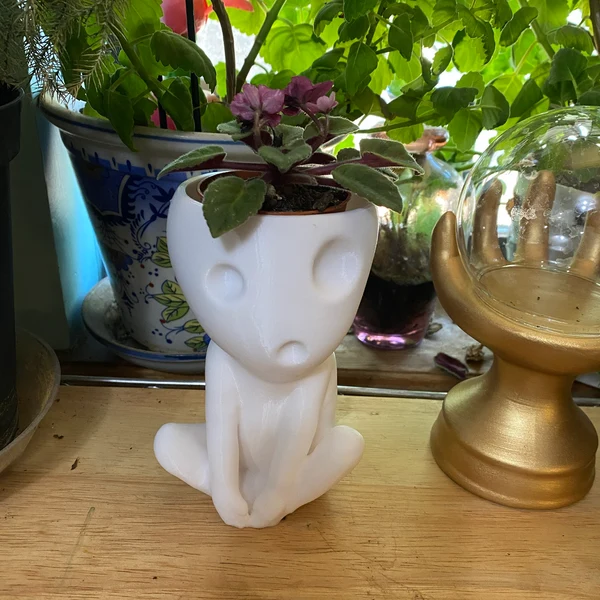 Tree Spirit Succulent Plant Pot