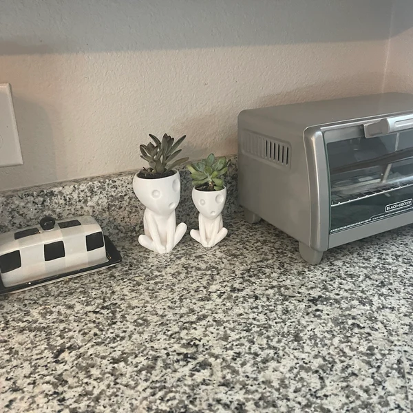 Tree Spirit Succulent Plant Pot